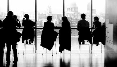 'board-of-experts and senior professionals'